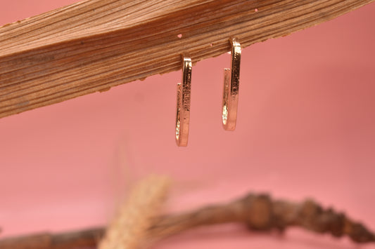 Nyla Drop Brass Designer Earrings